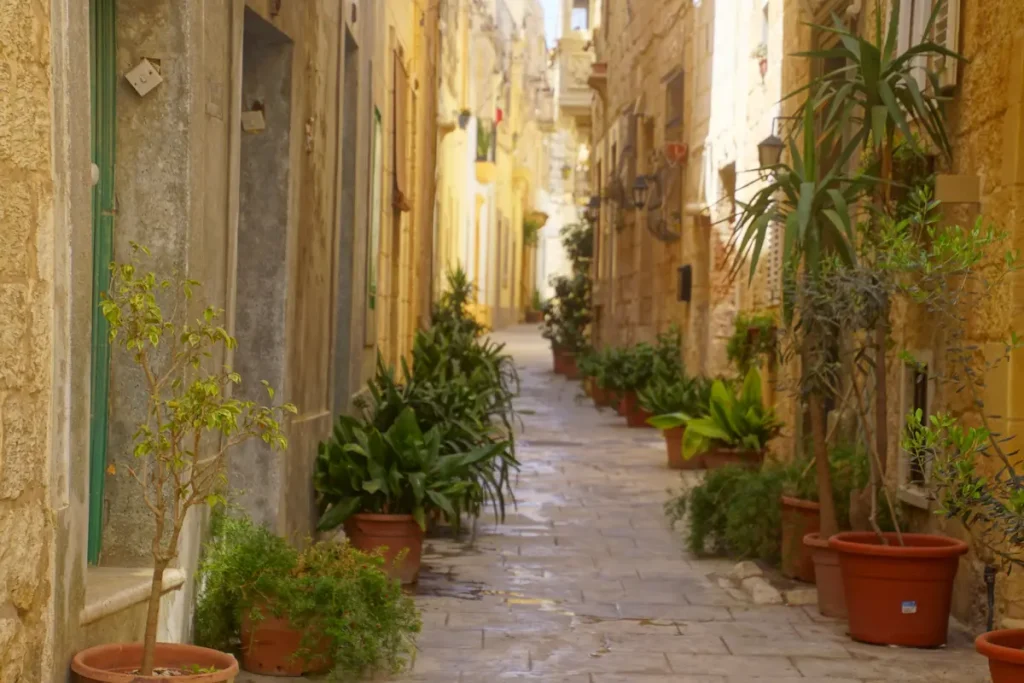 Calle estrecha en Rabat, Malta, con casas de piedra tradicionales y macetas con plantas a lo largo del camino
