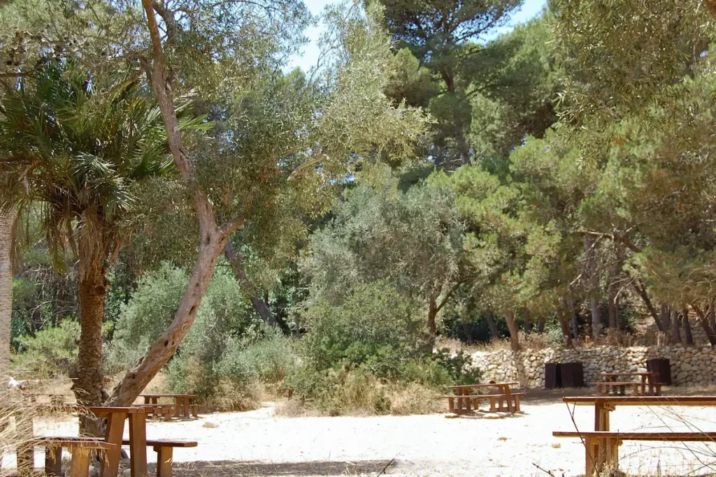 Mesas y zonas de estar bajo los árboles en el bosque de Buskett, Malta.